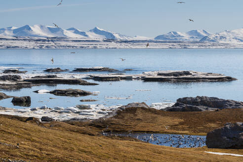 Gnalodden, Spitzbergen, Svalbard Inseln, Arktis, Norwegen, Europa - RHPLF23933