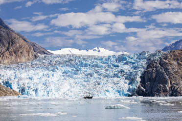 Vom Südsawyer-Gletscher gekalbtes Eis in der Tracy Arm-Fords Terror Wilderness, Südost-Alaska, Vereinigte Staaten von Amerika, Nordamerika - RHPLF23939