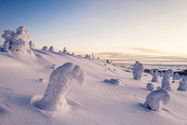 Ice sculptures in the snowy winter scenery of Finnish Lapland at dawn, Finland, Europe - RHPLF23940