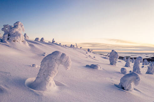 Eisskulpturen in der verschneiten Winterlandschaft von Finnisch-Lappland in der Morgendämmerung, Finnland, Europa - RHPLF23940