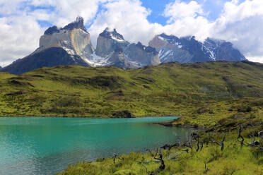 Torres del Paine National Park, Patagonien, Chile, Südamerika - RHPLF23961