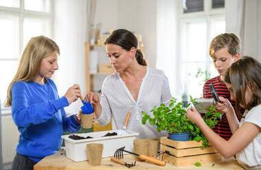 Group of homeschooling children with parent teacher planting herbs indoors, coronavirus concept. - HPIF14072