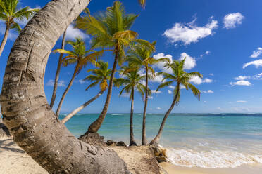 Blick auf Palmen und Meer am Bavaro Beach, Punta Cana, Dominikanische Republik, Westindien, Karibik, Mittelamerika - RHPLF23965