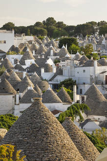 Blick über die kegelförmigen Steindächer der traditionellen Trulli-Häuser in der Altstadt von Alberobello, UNESCO-Weltkulturerbe, Apulien, Italien, Europa - RHPLF23977