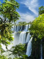 A view from the lower circuit at Iguazu Falls, UNESCO World Heritage Site, Misiones Province, Argentina, South America - RHPLF23988