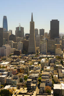 Skyline von San Francisco, dominiert von der Transamerica Pyramid, gesehen vom Coit Tower, San Francisco, Kalifornien, Vereinigte Staaten von Amerika, Nordamerika - RHPLF24024