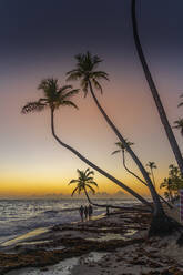 Blick auf Meer, Strand und Palmen bei Sonnenaufgang, Bavaro Beach, Punta Cana, Dominikanische Republik, Westindien, Karibik, Mittelamerika - RHPLF24078