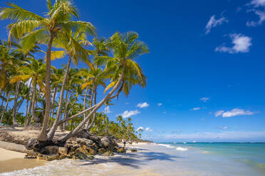 View of palm trees and sea at Bavaro Beach, Punta Cana, Dominican Republic, West Indies, Caribbean, Central America - RHPLF24079