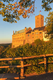 Wartburg bei Eisenach, Thüringer Wald, Thüringen, Deutschland, Europa - RHPLF24088