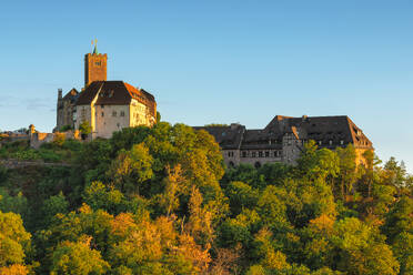 Wartburg Castle near Eisenach, Thuringian Forest, Thuringia, Germany, Europe - RHPLF24089