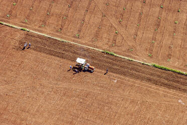 Aerial view of farmers and tractor, Aydin, Turkey. - AAEF17878