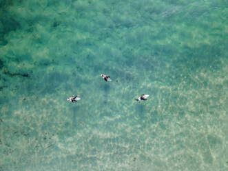 Aerial view of people doing surf in the ocean at Camps Bay, Cape Town, South Africa. - AAEF18006