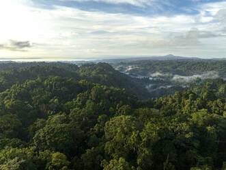 Aerial view of fog over jungle in Halmahera, Indonesia. - AAEF18031