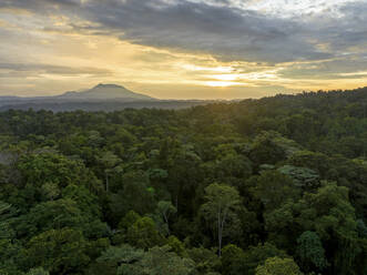 Luftaufnahme des Sonnenuntergangs über dem Dschungel in Halmahera, Indonesien. - AAEF18033
