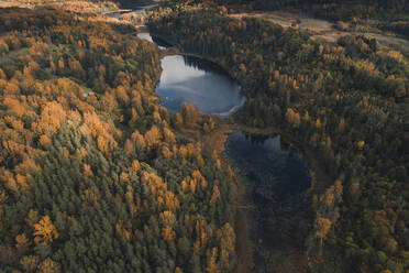 Aerial view of colourful autumn forest and lakes in Paganamaa landscape protection area, Estonia. - AAEF18061