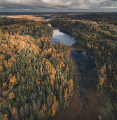 Aerial view of colourful autumn forest and lakes in Paganamaa landscape protection area, Estonia. - AAEF18062