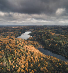 Aerial view of colourful autumn forest and lakes in Paganamaa landscape protection area, Estonia. - AAEF18066