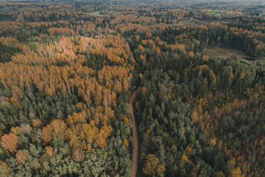 Luftaufnahme einer kurvenreichen Schotterstraße und eines bunten Waldes im Herbst in Vorumaa, Estland. - AAEF18069