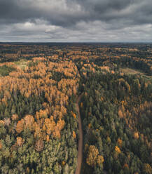 Luftaufnahme einer kurvenreichen Schotterstraße und eines bunten Waldes im Herbst in Vorumaa, Estland. - AAEF18070