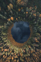 Luftaufnahme einer kleinen Schotterstraße, Landschaft, See und bunter Wald in Vorumaa, Estland. - AAEF18073