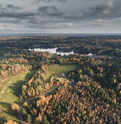 Luftaufnahme der Landschaft und des bunten Waldes in Vorumaa, Estland. - AAEF18081