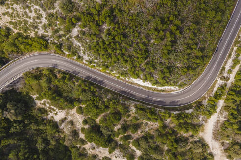 Luftaufnahme einer Straße durch einen Wald mit Bäumen, Vieste, Naturpark Gargano, Apulien, Italien. - AAEF18098