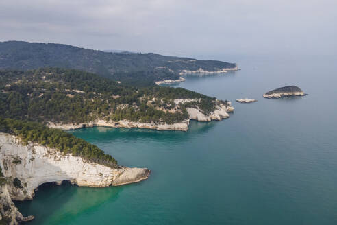 Luftaufnahme von Buchten entlang der wilden Küste mit natürlichen Bögen, Vieste, Naturpark Gargano, Apulien, Italien. - AAEF18100