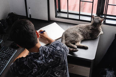 Hohe Winkel Rückenansicht von unerkennbaren männlichen freiberuflichen Fotografen sitzen an hölzernen Schreibtisch mit Computer beim Schreiben auf weißem Papier Kamera in der Nähe liebenswert Katze liegt in der Nähe von Fenster - ADSF44087