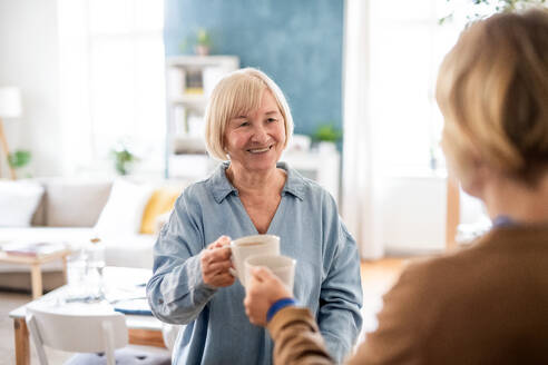 Ältere Frau mit einer Pflegekraft im Haus, die Kaffee trinkt und mit Tassen anstößt. - HPIF14164
