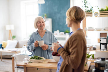 Glückliche ältere Frau mit Pflegerin oder medizinischem Personal in einem Haus, die Essen zubereitet. - HPIF14165
