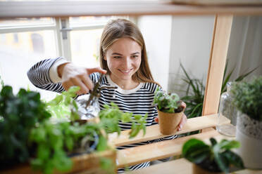 Happy woman spraying plants with water working at home, plant care concept. - HPIF14320