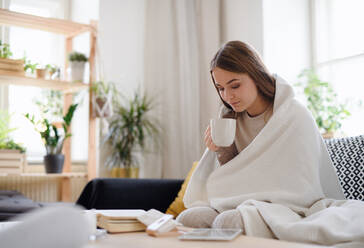 Ill and sick young woman with blanket drinking tea at home, coronavirus concept. - HPIF14321