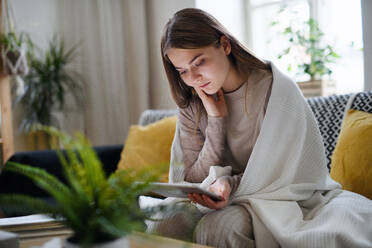 Besorgte junge Frau, eingewickelt in eine Decke, die zu Hause ein Tablet benutzt, Konzept des Coronavirus. - HPIF14324