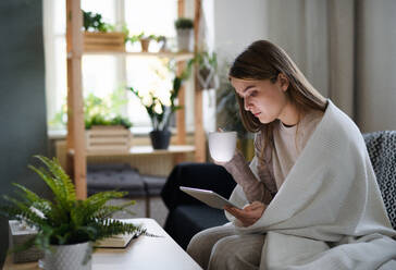 Unruhige und kranke junge Frau, eingewickelt in eine Decke, auf dem Sofa zu Hause, mit einem Tablet. - HPIF14325