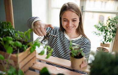 Young woman working at home, plant care concept. Coronavirus concept. - HPIF14346