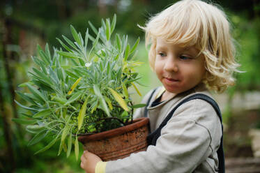 Seitenansicht eines kleinen Jungen mit Ekzem, der im Freien steht und eine Topfpflanze hält. - HPIF14441