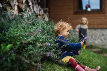 Glückliche kleine Kinder spielen draußen im Garten, nachhaltiger Lebensstil Konzept. - HPIF14448