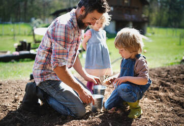 Älterer Vater mit kleinen Kindern bei der Arbeit im Garten, Konzept des nachhaltigen Lebensstils. - HPIF14471