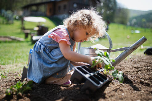 Glückliches kleines Mädchen pflanzt draußen im Garten, nachhaltiger Lebensstil Konzept. - HPIF14473