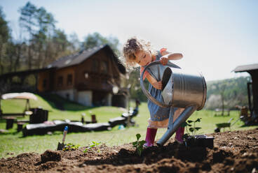 Kleines Mädchen bewässert draußen im Garten, Gartenarbeit und nachhaltiger Lebensstil Konzept. - HPIF14477