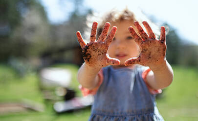 Porträt eines kleinen Mädchens mit schmutzigen Händen im Garten, nachhaltiges Lebensstilkonzept. - HPIF14478