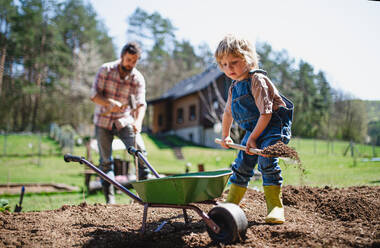 Älterer Vater mit kleinem Sohn bei der Arbeit im Garten, Konzept des nachhaltigen Lebensstils. - HPIF14488