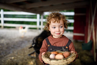 Porträt eines kleinen Mädchens, das auf einem Bauernhof steht und einen Korb mit Eiern hält, in der Vorderansicht. - HPIF14500