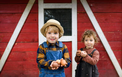 Front view portrait of small children standing on farm, holding eggs. - HPIF14506