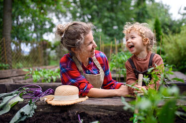 Happy mother with small daughter gardening on farm, growing organic vegetables. - HPIF14520