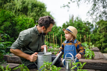 Porträt eines kleinen Jungen mit Vater bei der Gartenarbeit auf einem Bauernhof, der Bio-Gemüse anbaut. - HPIF14524