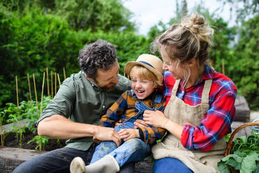 Glückliche Familie mit Kleinkind, die sich bei der Gartenarbeit auf dem Bauernhof vergnügt und Biogemüse anbaut. - HPIF14529