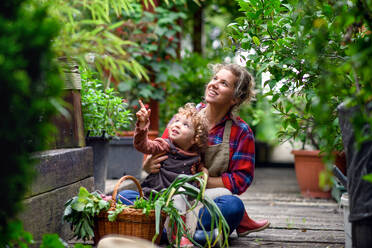 Glückliche Mutter mit kleiner Tochter bei der Gartenarbeit auf dem Bauernhof, Anbau von Bio-Gemüse. - HPIF14531