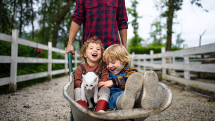 Unbekannter Vater schiebt fröhliche kleine Kinder in einer Schubkarre auf einem Bauernhof. - HPIF14541