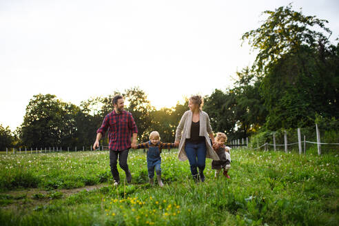 Porträt einer glücklichen Familie mit kleinen Kindern, die auf einem Bauernhof spazieren gehen und sich unterhalten. - HPIF14547